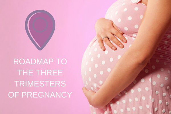 Roadmap_to_the_3_Trimestersof_Pregnancy